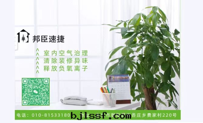 除甲醛，除异(yì)味